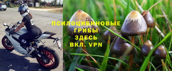 стафф Абинск